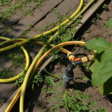 Zavlažovací hadice - kterou z nich je lepší vybrat pro zahradu a letní sídlo